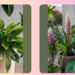 Faux Outdoor Plants: 20 Stunning Ideas for Your Home