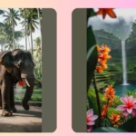 17 Bali Travel Photography Ideas: Your Camera Will Thank You!