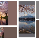 Stunning Cherry Blossom Hotspots for Your Japanese Adventure**  
**