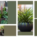 Elevate Your Home: 20 Faux Outdoor Plant Ideas for Porches and Front Doors