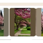 Unleash the Beauty of Your Yard with These 16 Fantastic Flowering Trees