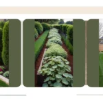 Spruce Up Your Borders: 15 Amazing Property Line Landscaping Ideas You Can’t Miss