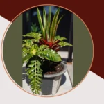 Green Without Guilt: 20 Faux Plant Ideas for Front Doors and Porches