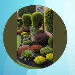 Small Spaces, Big Dreams: 22 Garden Design Inspirations for Any Budget