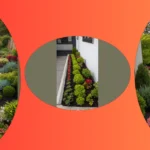 Boost Your Curb Appeal: 19 Front Yard Garden Ideas That Shine