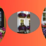 21 Window Box Flowers to Bring Your Home to Life!