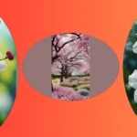 Color Your World: 21 Flower Wallpaper Ideas for Nature Lovers