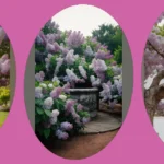 Transform Your Outdoors: 18 Lilac Garden Landscapes Ideas