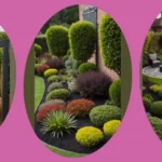 Small Space, Big Impact: 22 Ingenious Garden Design Ideas