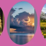 Brighten Your Day with 19 Sunny Wallpaper Aesthetic Ideas