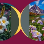 Transform Your Space with 21 Flower Wallpaper Designs That Celebrate Nature