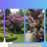 Transform Your Outdoors: 18 Lilac Garden Landscapes to Brighten Your Space
