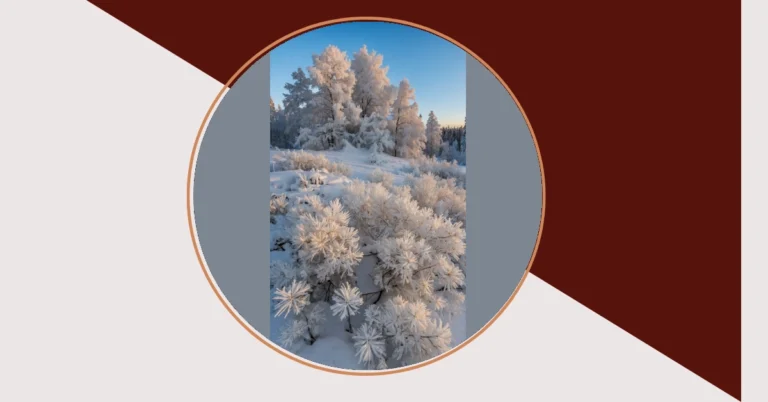 Revamp Your Screens with These 17 Stunning Finland Wallpaper Ideas