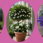 Transforming Your Space: 15 Shade-Loving Planters for Every Nook