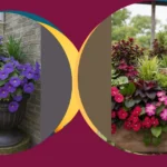 Shades of Green: 15 Unique Planters That Thrive in Low Light