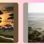 Capture the Wild: 18 Delightful African Photography Ideas