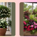 Shade No More! 15 Planting Ideas for Your Gloomy Corners