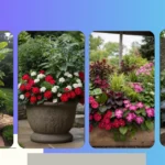 Shade Lovers Unite: 15 Unique Planter Ideas for Your Cozy Nook